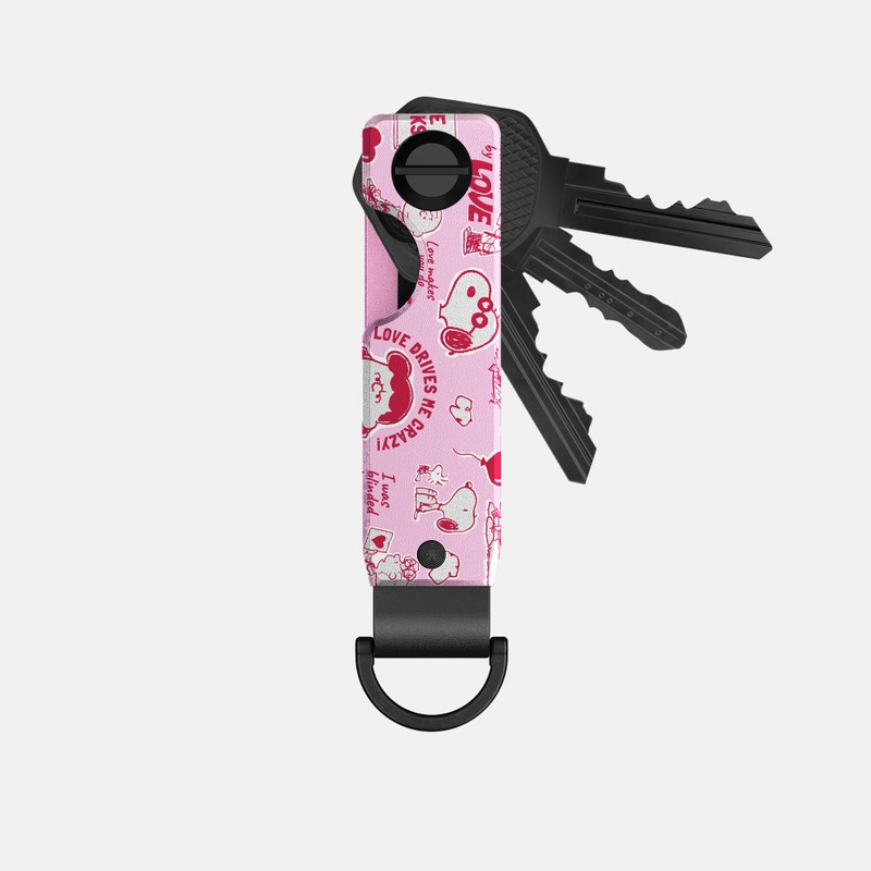 Ridge KeyCase - Peanuts - Love Stinks