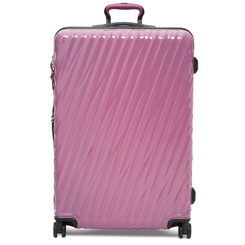 19 Degree Extended Trip Expandable 4 Wheel Packing Case
