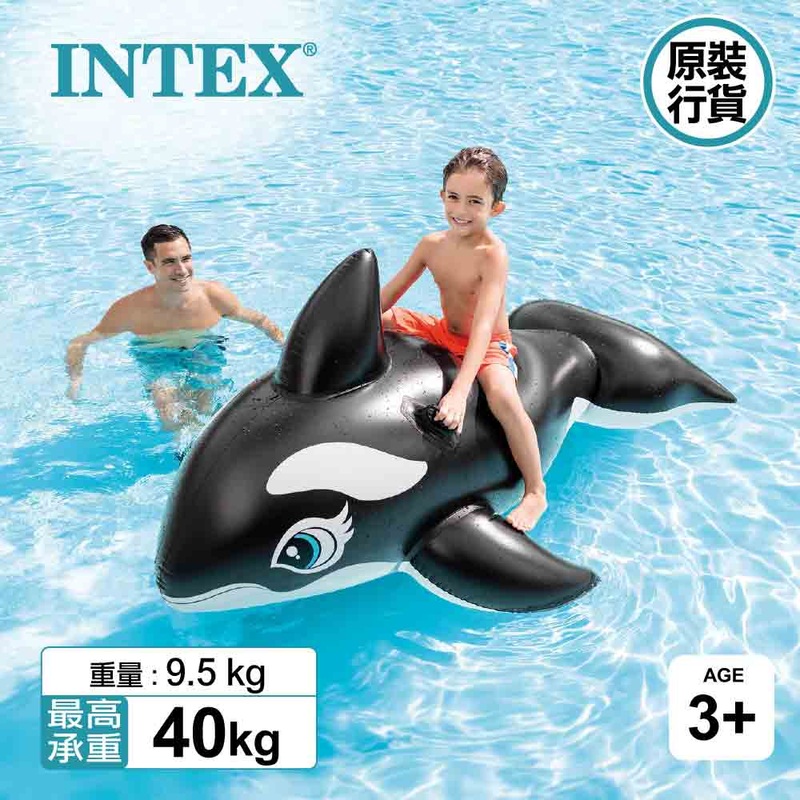 Whale Ride-On