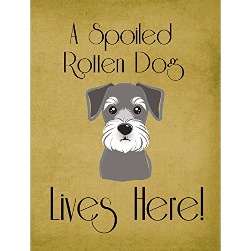 Caroline'S Treasures Bb1454Gf Schnauzer Spoiled Dog Lives Here Flag, Small, Multicolor