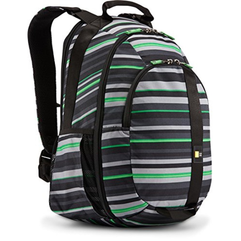 Case Logic Bpca-115 Berkley Plus 15.6-Inch Laptop + Tablet Backpack,Storm