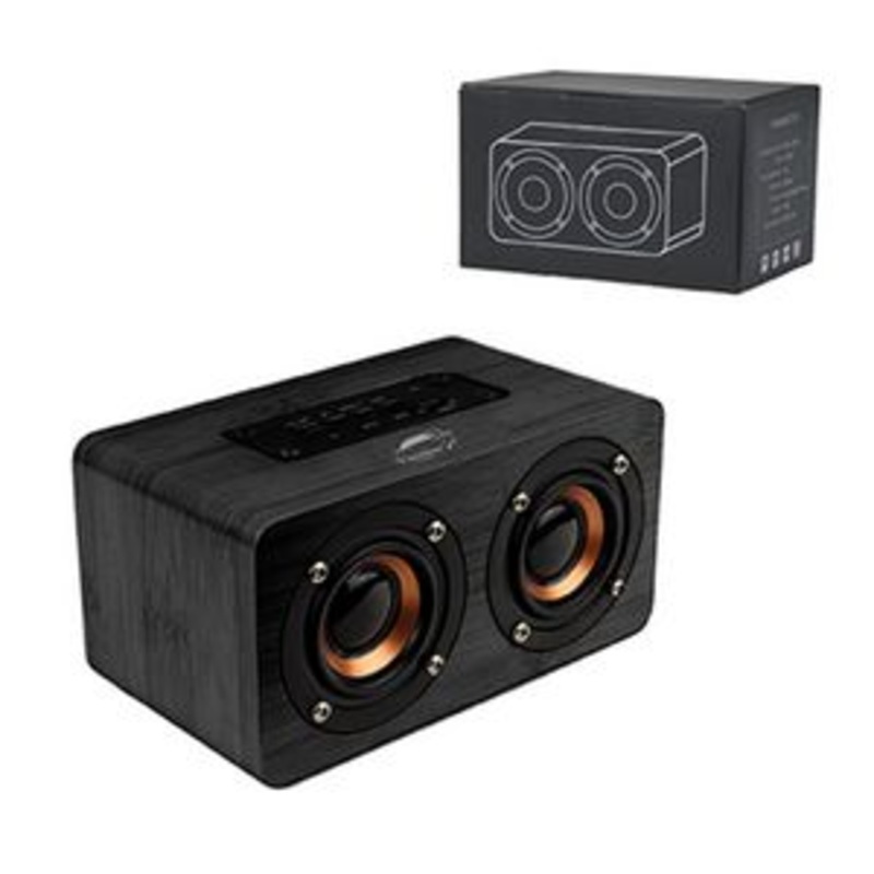 Double Dip Speaker