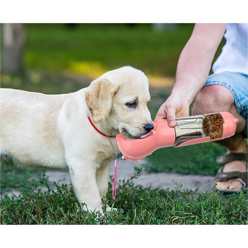 3 in 1 Pet Feeder Bowl