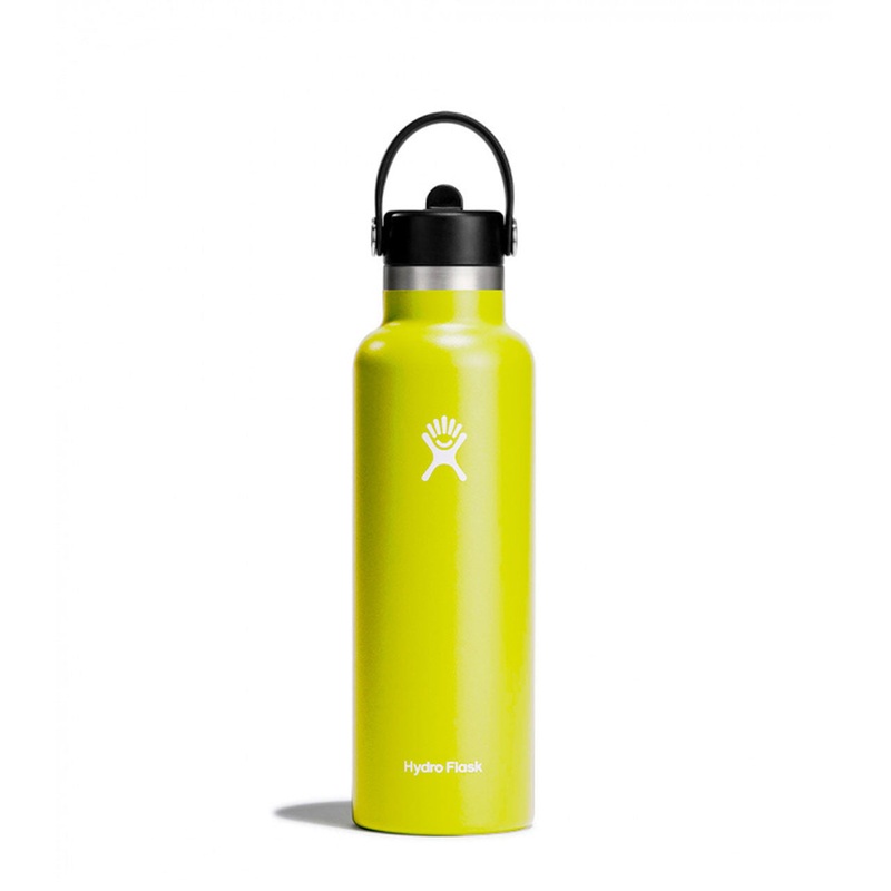 21 Oz Standard Flex Straw Cap Cactus